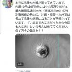 レス1番の画像サムネイル