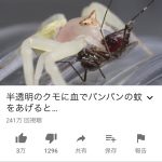 レス1番の画像サムネイル