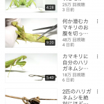 レス19番の画像サムネイル