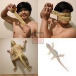 レス48番の画像サムネイル