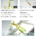 レス9番の画像サムネイル
