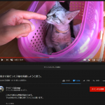 レス1番の画像サムネイル
