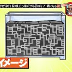 レス32番の画像サムネイル