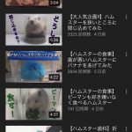 レス17番の画像サムネイル