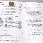 レス35番の画像サムネイル