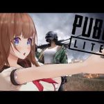 レス22番の画像サムネイル