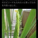 レス4番の画像サムネイル
