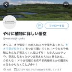 レス10番の画像サムネイル