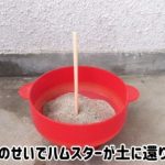 レス5番の画像サムネイル