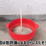 レス7番の画像サムネイル