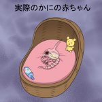 レス2番の画像サムネイル