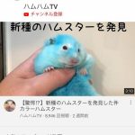レス1番の画像サムネイル