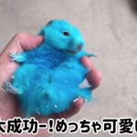 レス1番の画像サムネイル