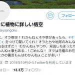 レス1番の画像サムネイル