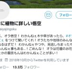 レス1番の画像サムネイル