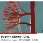 レス20番の画像サムネイル