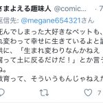 レス2番の画像サムネイル
