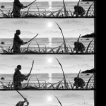 レス5番の画像サムネイル