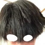レス19番の画像サムネイル