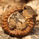 レス13番の画像サムネイル