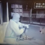 レス8番の画像サムネイル