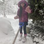 レス42番の画像サムネイル
