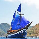 レス18番の画像サムネイル