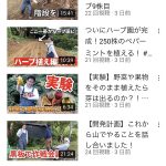 レス1番の画像サムネイル