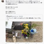 レス1番の画像サムネイル