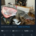 レス1番の画像サムネイル