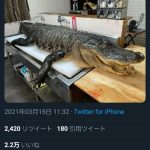 レス1番の画像サムネイル