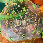 レス12番の画像サムネイル