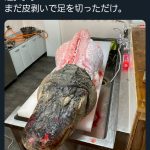 レス1番の画像サムネイル
