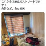 レス1番の画像サムネイル