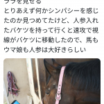 レス1番の画像サムネイル