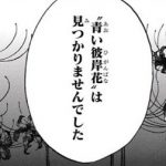 レス39番の画像サムネイル
