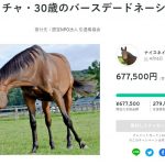 レス126番の画像サムネイル