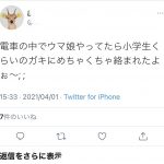 レス1番の画像サムネイル