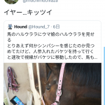 レス1番の画像サムネイル
