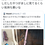 レス1番の画像サムネイル