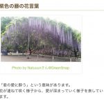 レス24番の画像サムネイル