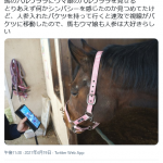 レス4番の画像サムネイル