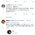 レス6番の画像サムネイル