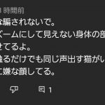 レス1番の画像サムネイル