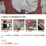レス67番の画像サムネイル