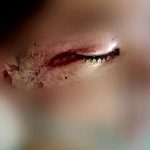 レス22番の画像サムネイル
