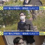 レス1番の画像サムネイル