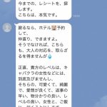 レス48番の画像サムネイル