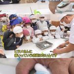 レス5番の画像サムネイル