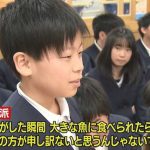 レス12番の画像サムネイル